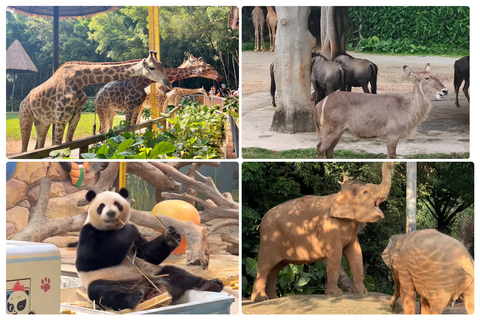 Guangzhou Chimelong: Safari Park/Paradise（Optional Day Tour） Chimelong Paradise – Adult