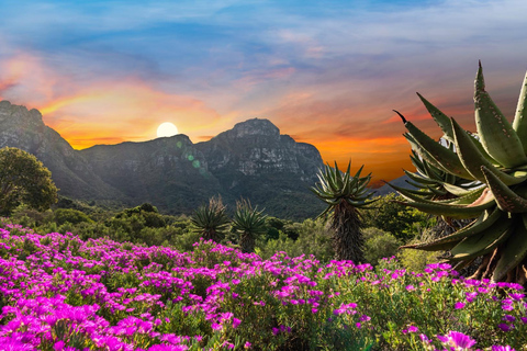 Le Cap : billet d&#039;entrée au jardin botanique de Kirstenbosch