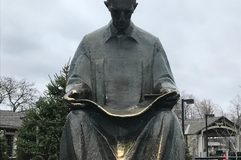 From NYC: Niagara Falls 1-Day Excursion Spanish Tour