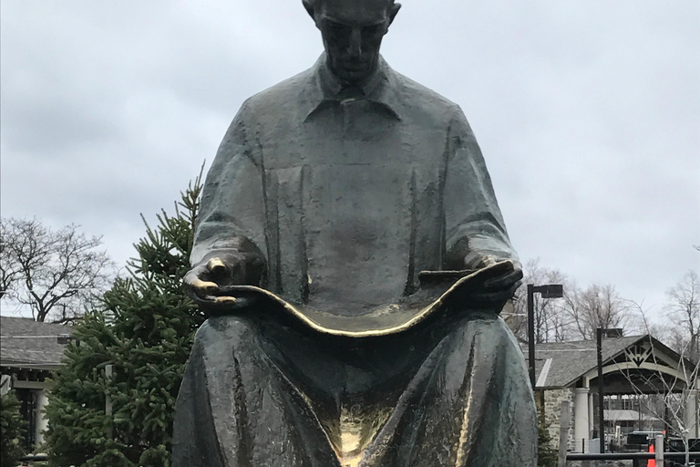 From NYC: Niagara Falls 1-Day Excursion Spanish Tour