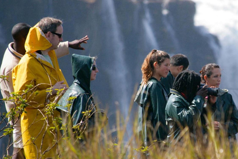 Visite guidée des chutes Victoria plus déjeunerVisite guidée des chutes Victoria et déjeuner