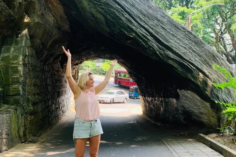 3-Daagse rondreis Sri Lanka: Kandy Nuwara Eliya Ella & Yala Safari