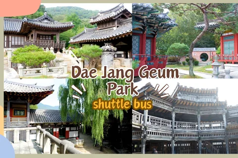 Desde Seúl: Traslado Parque Yongin Dae Jang Geum