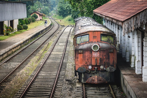 Pinnawala & Tea Factory & Kandy Full Day Tour from Negombo By Private Air Conditioned KDH Flat Roof Van