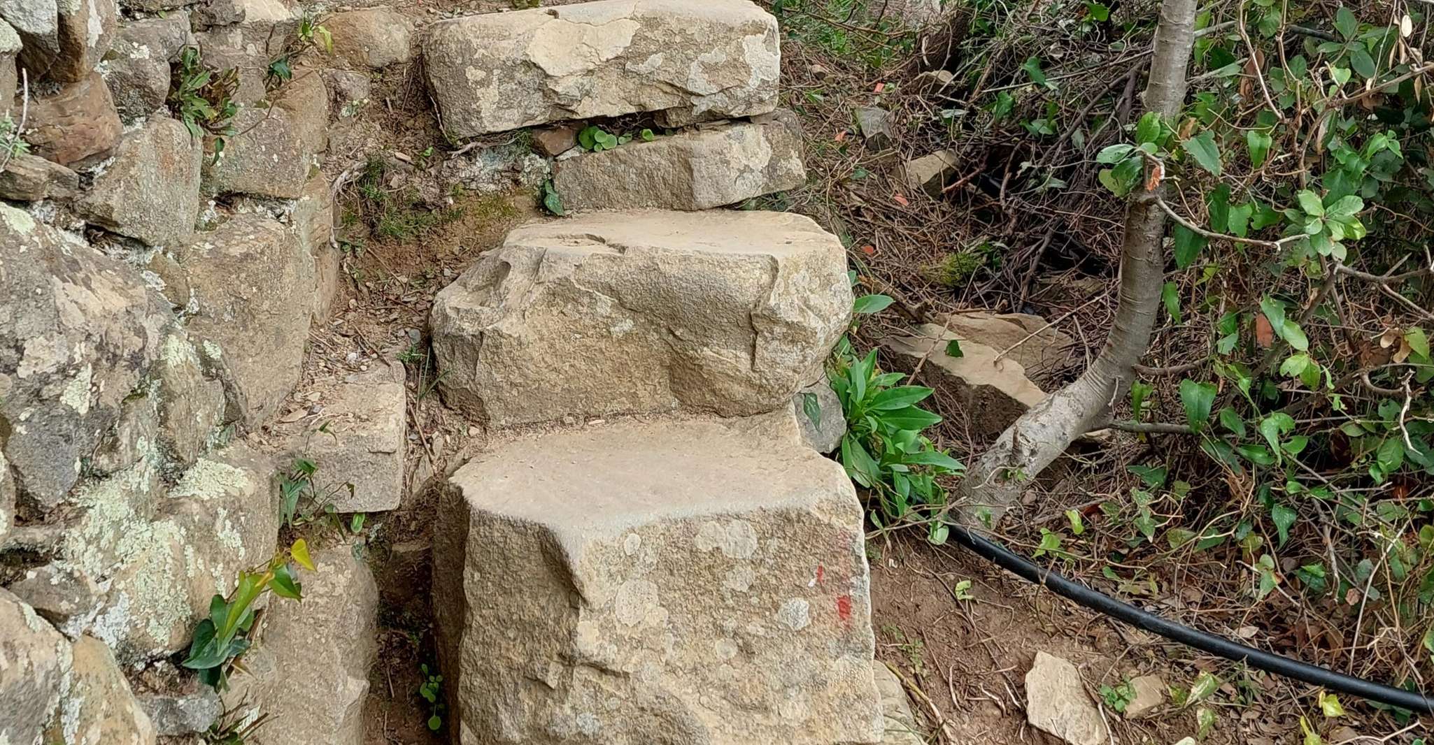 Escursione da Riomaggiore a Portovenere - Hizvo