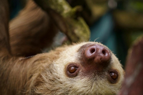 San Jose: Night Guided Wildlife Walk at Wildlife Sanctuary