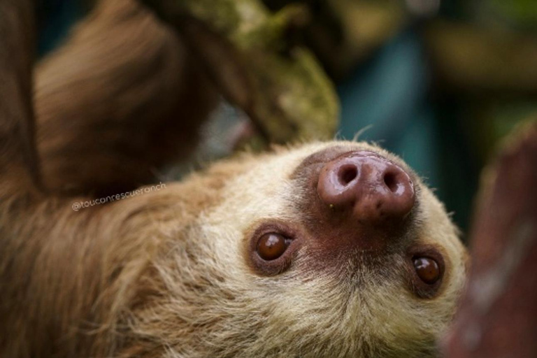 San Jose: Night Guided Wildlife Walk at Wildlife Sanctuary
