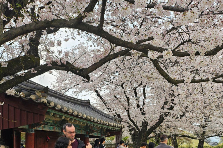 Gyeongju: UNESCO & Heritage Private Custom Tour w/guide