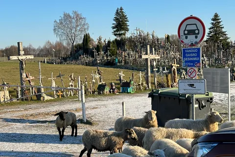 Au départ de Riga : excursion à la colline des croix, au palais de Rundale et à Bauska
