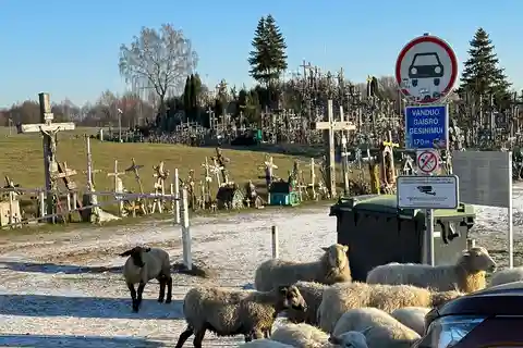 Von Riga aus: Ausflug zum Berg der Kreuze, Rundale-Palast und Bauska