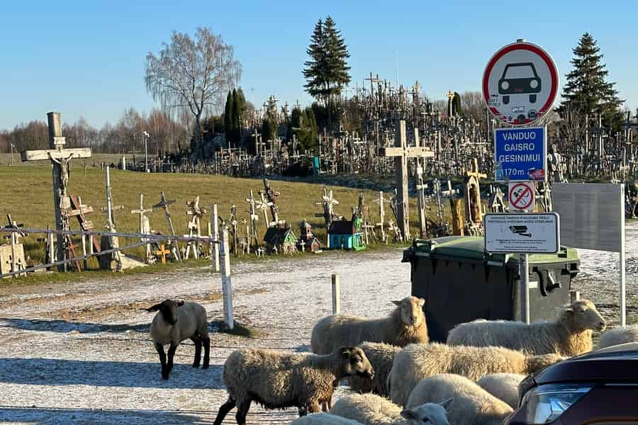 Von Riga aus: Ausflug zum Berg der Kreuze, Rundale-Palast und Bauska. Foto: GetYourGuide