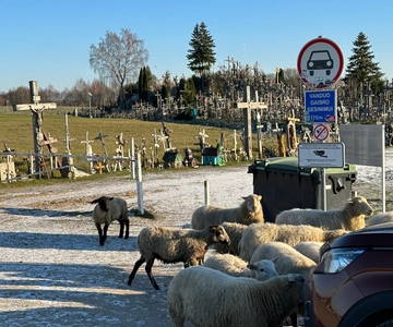 Von Riga aus: Ausflug zum Berg der Kreuze, Rundale-Palast und Bauska