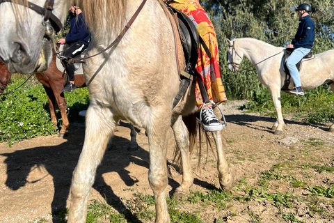 Guided tour on horseback through the guadalhorce valley