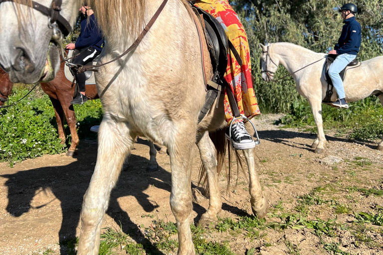 Guided tour on horseback through the guadalhorce valley