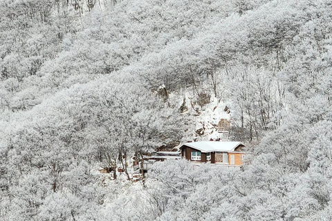 Jeonju Hanok Village and Daedunsan Serenity Nature Tour Departing from Dongdaemun H&C Park Station Exit 10