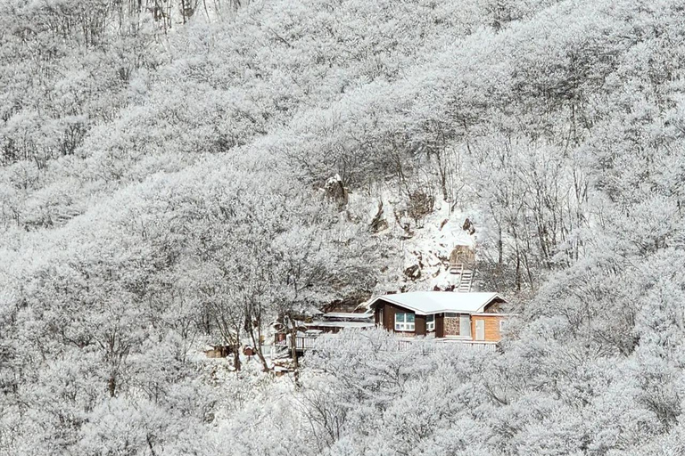 Jeonju Hanok Village and Daedunsan Serenity Nature Tour Departing from Dongdaemun H&C Park Station Exit 10