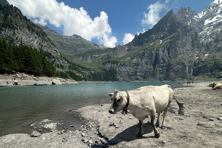 Interlaken: Lake Oeschinen Day Trip with Cable Car Ride
