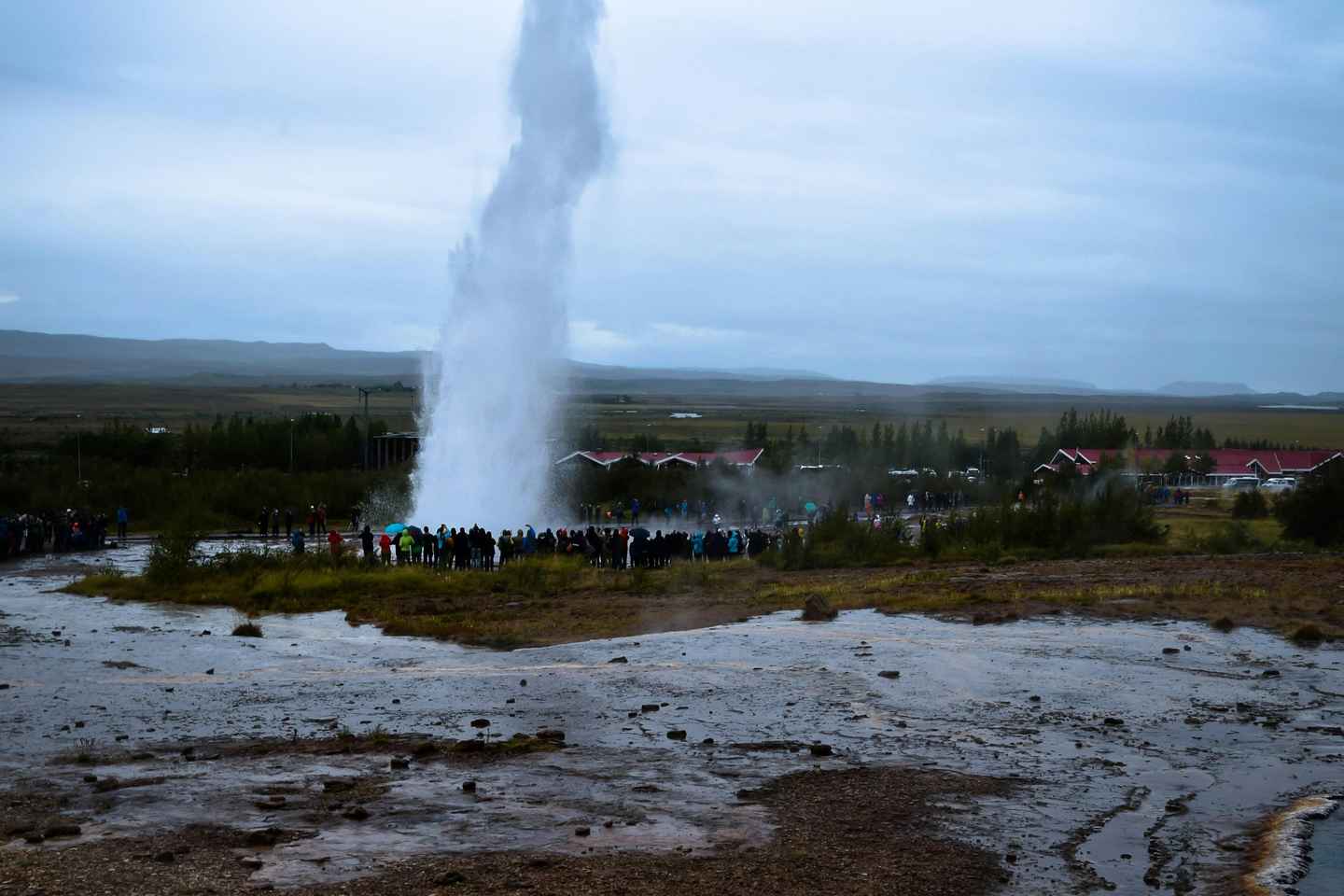 Golden Circle: Private Tour for up to 7 PAX /7 Hours/