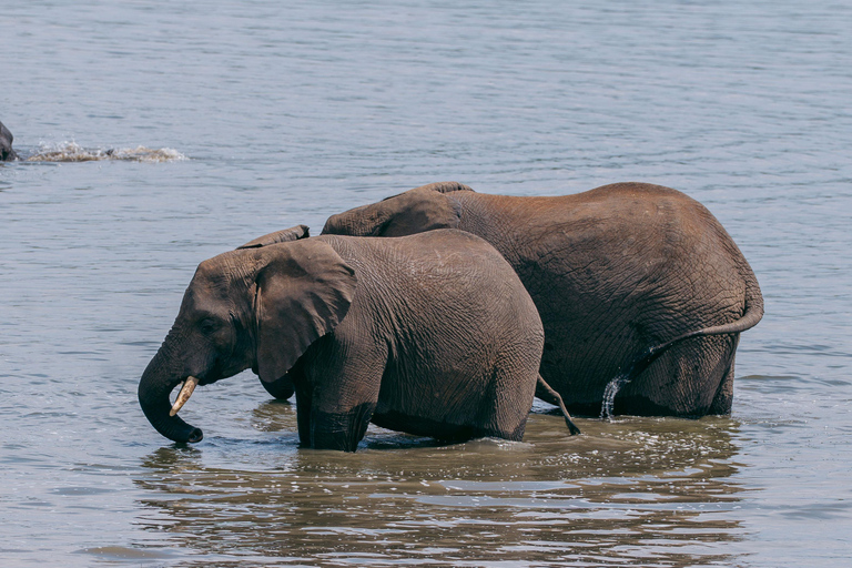 Kigali: Akagera National Park Safari with Boat Cruise