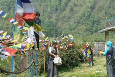 Excursión cultural tibetana de un día en Pokhara