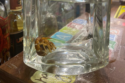 Cancun - shoppingtur Shoppingtur, Mayamuseum och marknad 28