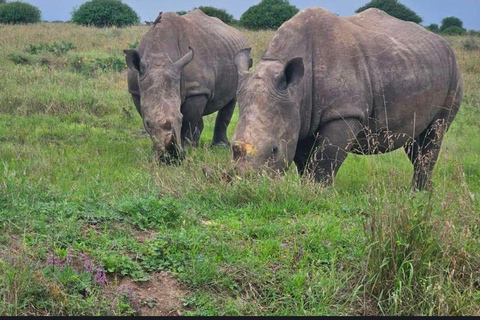Addis Abeba: wycieczka do kościoła Chebera Churchura i Parku Narodowego MazeAddis Abeba: Wycieczka do kościoła Chebera Churchura i Parku Narodowego Maze