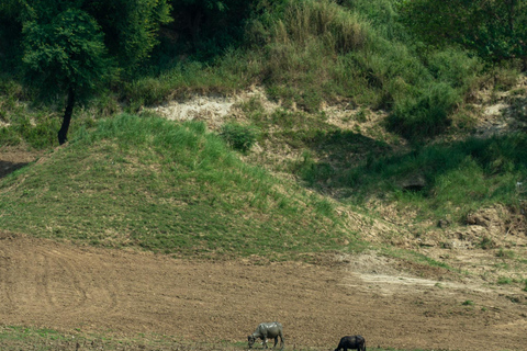 From Agra: Day Trip to Chambal River Safari with Lunch
