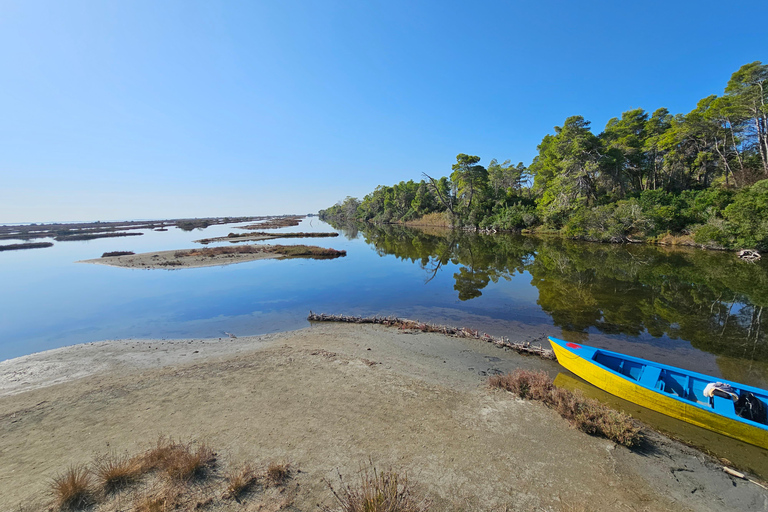 Från Durrës: Divjakë-Karavasta nationalpark dagsutflykt