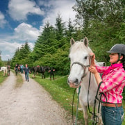 Horse riding the dirt trail. Clare. Guided. 1 hour