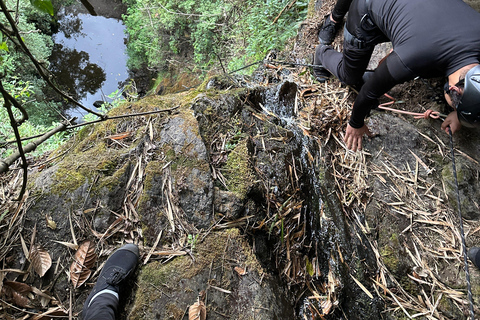 Quito: Abseilen in 3 Vulkan-Wasserfälle, Wandern, Extremsport