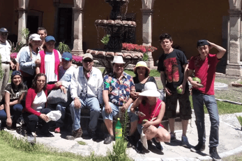 Depuis Léon : visite guidée des haciendas de la route royale