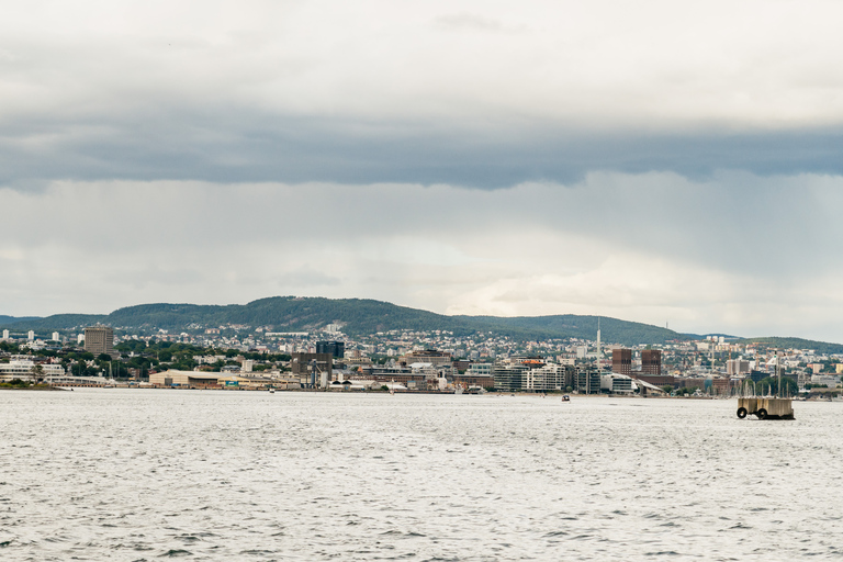 Buffet-croisière de 3 h dans le fjord d’Oslo