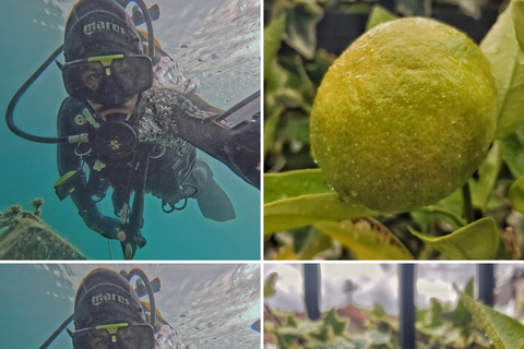 Ohrid: Scuba Diving Experience in Lake Ohrid