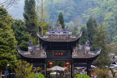 Private Tour to Dujiangyan and Qingcheng Mountain Private transportation, English-Speaking Guide, and Tickets