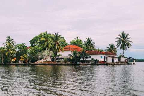 Da Galle: Safari sul fiume Madu e visita all&#039;incubatoio delle tartarughe