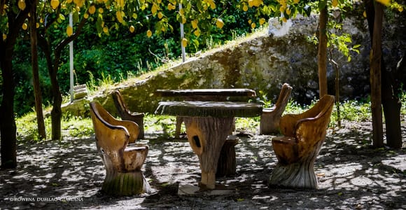 Amalfi: Vertical Lemon Grove Tour, Tastings & Rural Museum