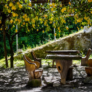 Amalfi: Vertical Lemon Farm Tour, Tastings, and Rural Museum
