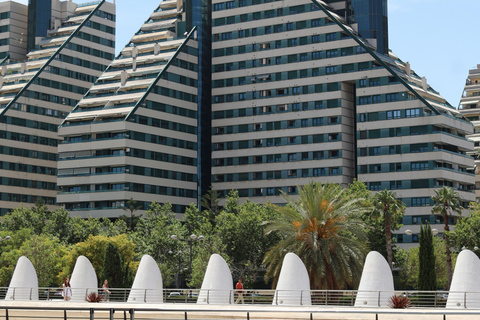 Valencia: Private Lifestyle & Relocation Tour with Transport