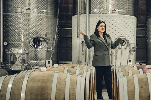 Ijevan: Visita à fábrica de vinho e aguardente com prova