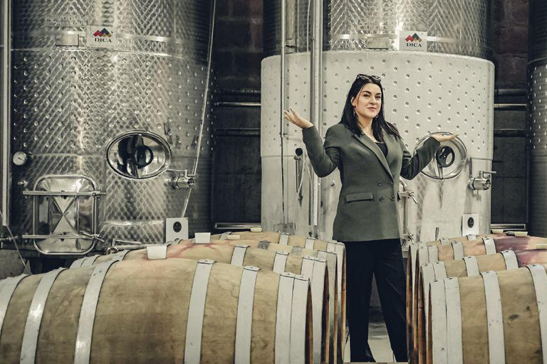 Ijevan: Visita à fábrica de vinho e aguardente com prova