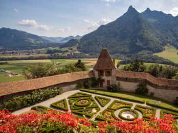 Private all day car trip from Bern to Gruyeres & Fribourg