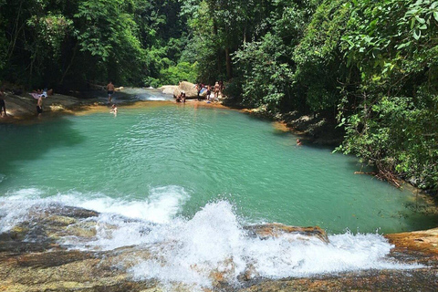 Mendanha-vattenfallet Rio de Janeiro + Lunch + TransportCachoeira do Mendanha Rio de Janeiro + Lunch + Transport