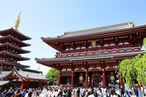 Tokyo: Customized Full-Day Tour