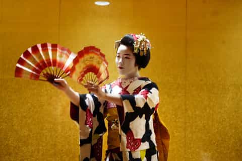 The best Kansai Region Dinner shows 2026 - Free cancellation