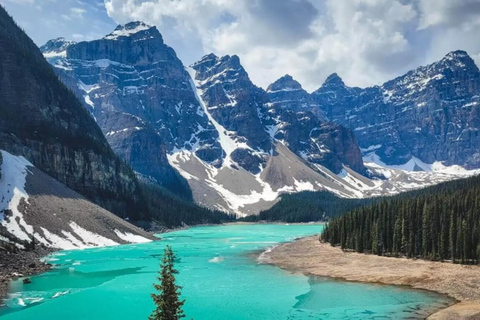 Banff: Lake Louise and Moraine Lake Tour with Pickup & Drop