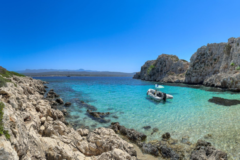 Ilha Proti: Passeio de barco para fazeres snorkeling