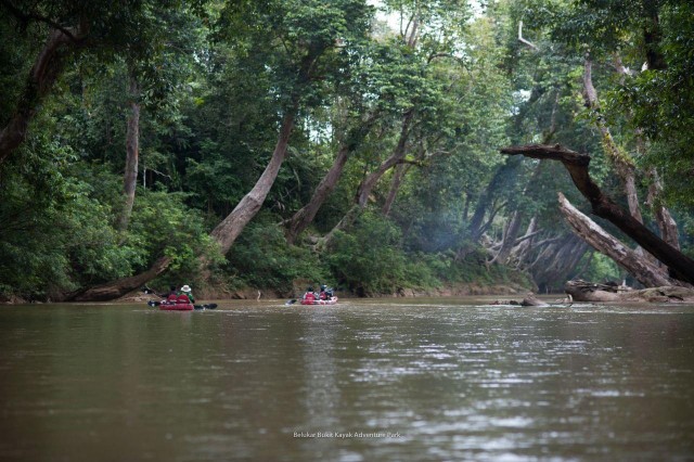 Visit Sungai Berang Wildlife & Cultural Kayak Tour in Kuala Terengganu