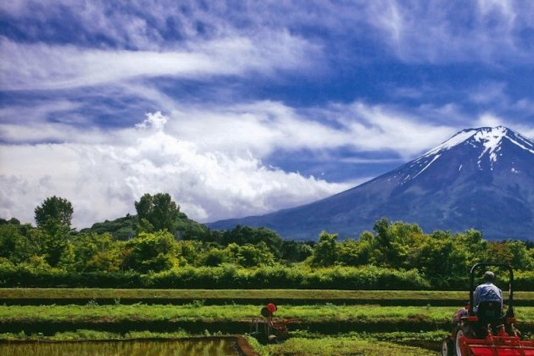 Fuji Speedway Self Drive &amp; Mt. Fuji Tour z odbiorem na LEXUSIE