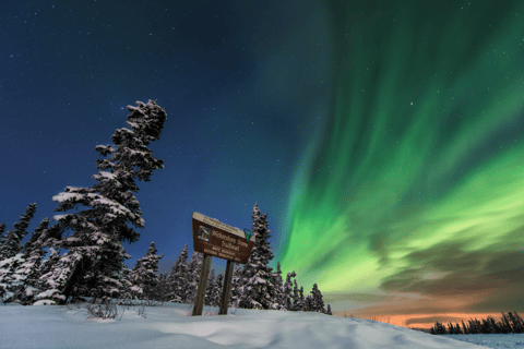 Fairbanks: Arctic Circle Tour with Northern Lights Hunt