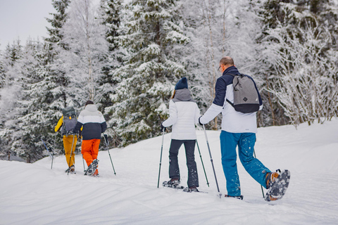 Depuis Oslo : Visite guidée en raquettes de la forêt d'OslomarkaDepuis Oslo : Randonnée guidée en raquettes dans la forêt d'Oslomarka